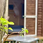 Gruenzeit Waldcamp Glamping Und Cabins Nahe Spreewald Κάμπινγκ Κότμπους