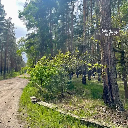 Waldcamp Mit Einfachen Und Zweckmässigen Hütten Und Caravans Pur Campingplatz *