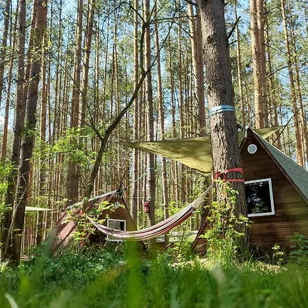 Campsite Waldcamp Mit Kleinen Huetten Und Caravans In Pur Cottbus