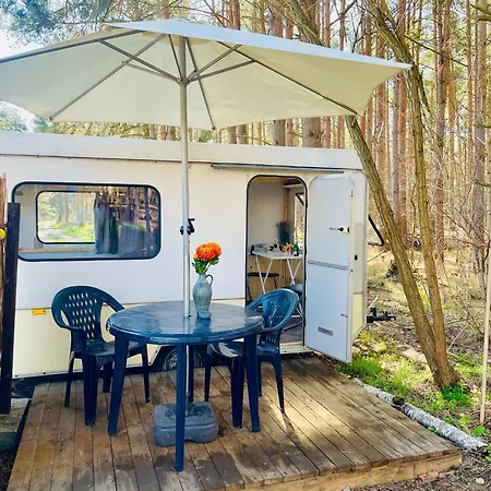 Waldcamp Mit Kleinen Huetten Und Caravans In Pur Cottbus