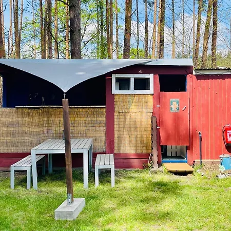 Waldcamp Mit Einfachen Und Zweckmässigen Hütten Und Caravans Pur Campingplatz *