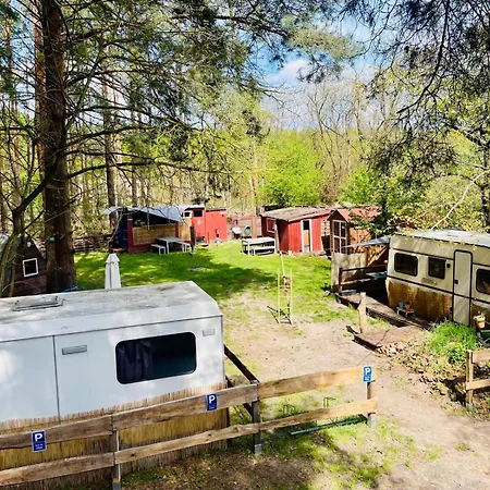 Waldcamp Mit Einfachen Und Zweckmaessigen Huetten Und Caravans Pur 营地 *
