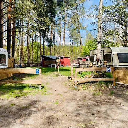 Waldcamp Mit Einfachen Und Zweckmässigen Hütten Und Caravans Pur Campingplatz