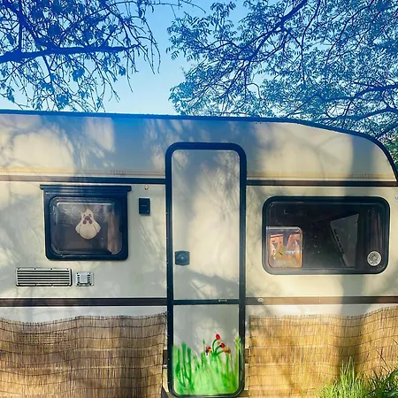 Waldcamp Mit Einfachen Und Zweckmaessigen Huetten Und Caravans Pur *