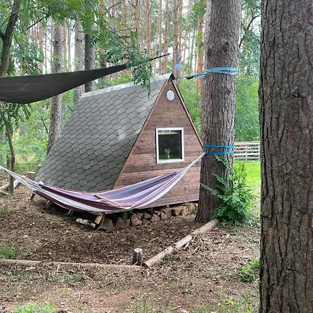 Waldcamp Mit Einfachen Und Zweckmässigen Hütten Und Caravans Pur Campingplatz *