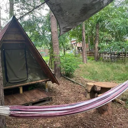 Grünzeit Caravanübernachtungen Und Einfache Hütten Im Wald Campingplatz