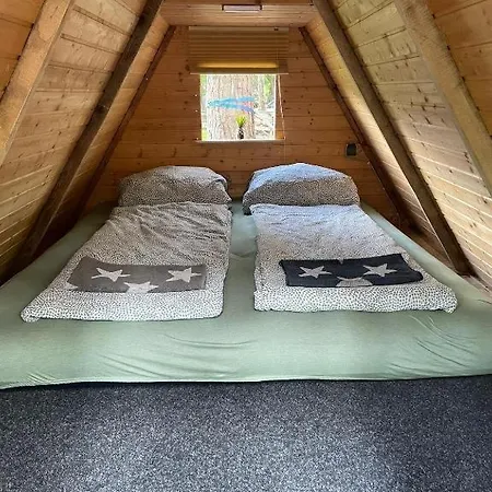 Campingplatz Grünzeit Caravanübernachtungen Und Einfache Hütten Im Wald Cottbus
