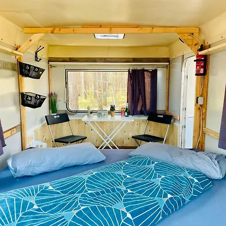 Campingplatz Grünzeit Caravanübernachtungen Und Einfache Hütten Im Wald Cottbus
