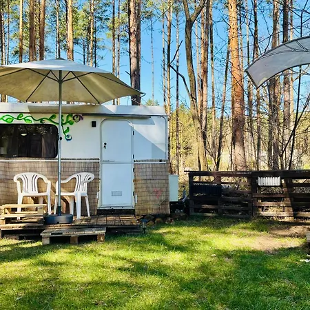 Grünzeit Caravanübernachtungen Und Einfache Hütten Im Wald *