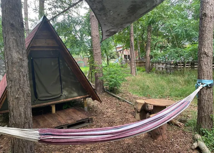 Kemping Gruenzeit Caravanuebernachtungen Und Einfache Huetten Im Wald Cottbus