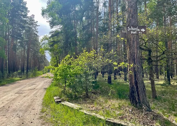 Gruenzeit Caravanuebernachtungen Und Einfache Huetten Im Wald Kemping *