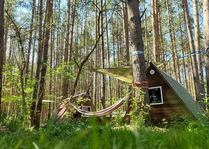 Kemping Gruenzeit Caravanuebernachtungen Und Einfache Huetten Im Wald Cottbus