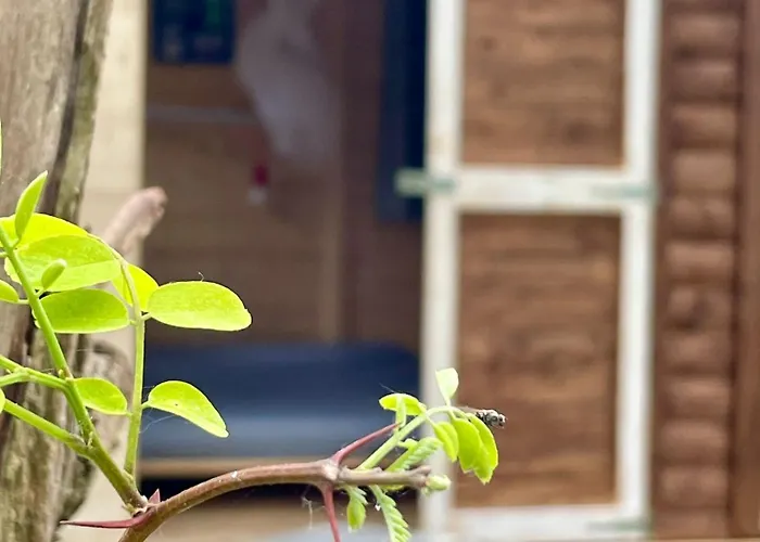 Waldcamp Gruenzeit-Naturunterkuenfte, Upcycling Caravans & Glamping Naehe Spreewald Bei Cottbus キャンプ場 コットブス