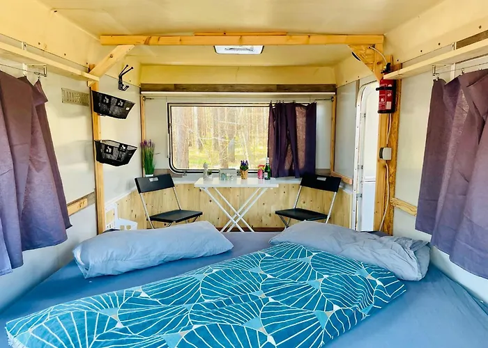 Kemping Gruenzeit Caravanuebernachtungen Und Einfache Huetten Im Wald *