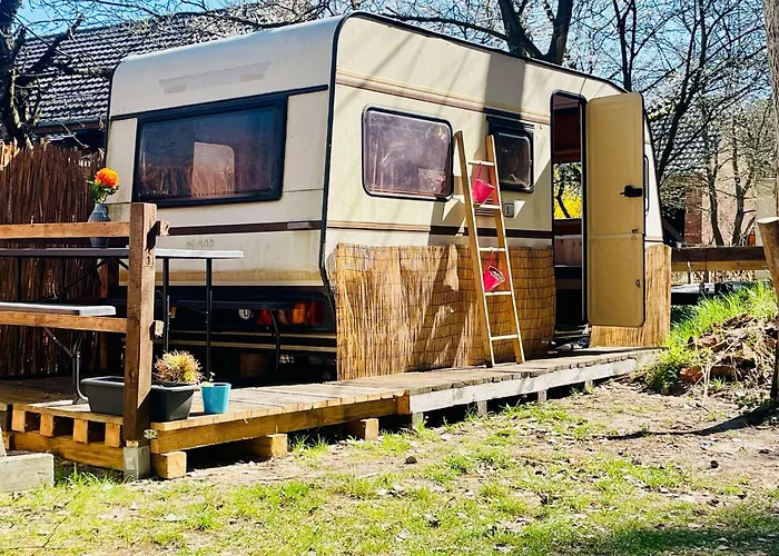 Kemping Gruenzeit Caravanuebernachtungen Und Einfache Huetten Im Wald Cottbus