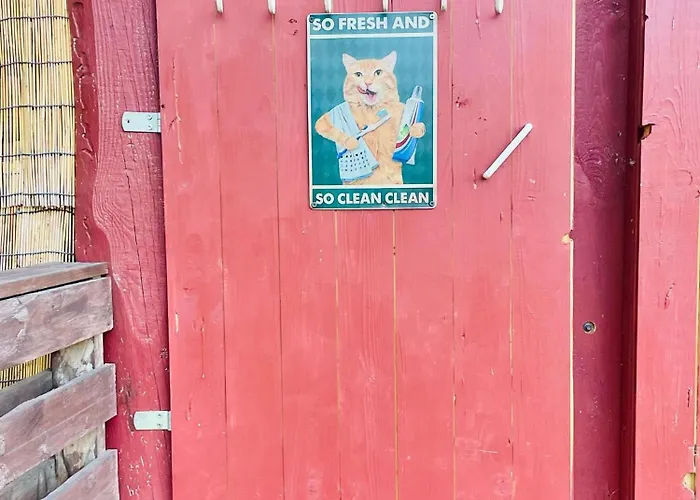 キャンプ場 Waldcamp Gruenzeit-Naturunterkuenfte, Upcycling Caravans & Glamping Naehe Spreewald Bei Cottbus コットブス