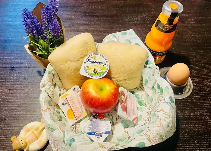 Gruenzeit Caravanuebernachtungen Und Einfache Huetten Im Wald Kemping Cottbus