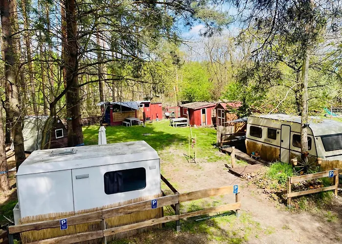 Waldcamp Gruenzeit-Naturunterkuenfte, Upcycling Caravans & Glamping Naehe Spreewald Bei Cottbus キャンプ場 *
