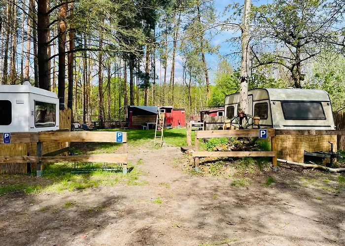 Gruenzeit Caravanuebernachtungen Und Einfache Huetten Im Wald Kemping