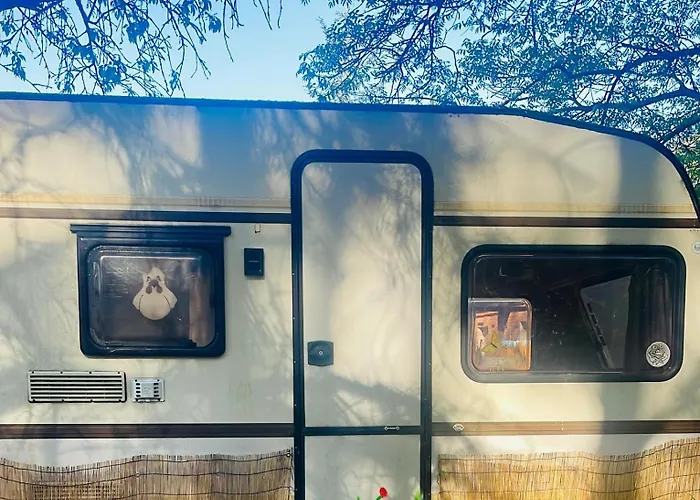 Gruenzeit Waldcamp Glamping Und Cabins Nahe Spreewald *